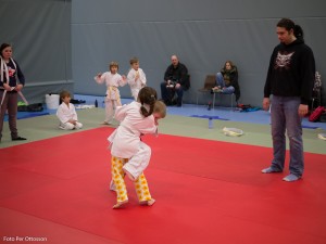 2013 03 05 - 073 Per Ottosson